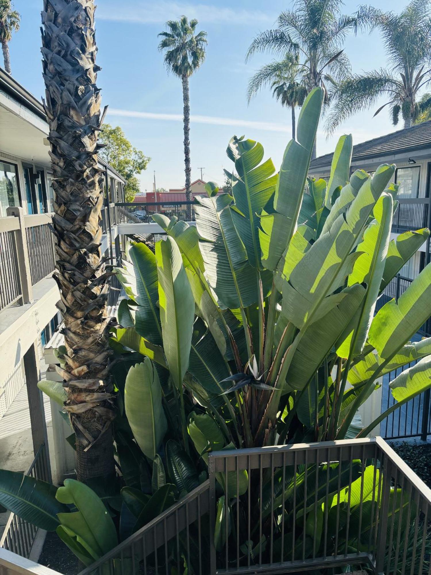 Motel 6-Santa Ana, Ca Luaran gambar